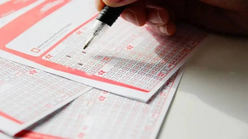 Cách thức hoạt động của dàn đề bất tử miền Bắc